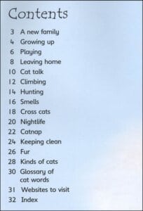 Cats Usborne Beginners by Usborne 1