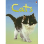 Cats Usborne Beginners by Usborne