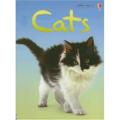 Cats Usborne Beginners by Usborne