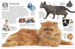 DK Eyewitness Books Cat by Dorling Kindersley 3