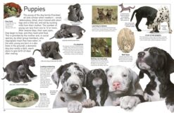 DK Eyewitness Books Dog by Dorling Kindersley 2