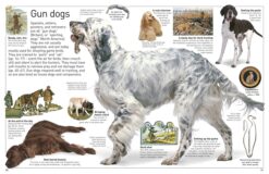 DK Eyewitness Books Dog by Dorling Kindersley 3