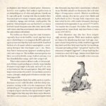 Dinosaur A Photicular Book by Workman 4