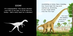 Dinosaurs Shine a Light by Kane Miller 2