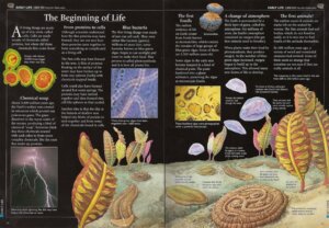 Encyclopedia of World History by Usborne 2