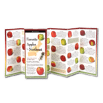 Favorite Apples of the Northeast Folding Guide by Earth Sky Water 1