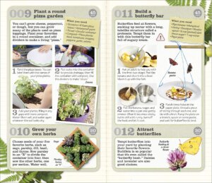 Great Things to Do Outside by Dorling Kindersley 1
