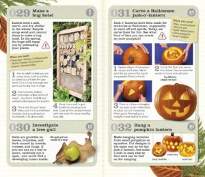 Great Things to Do Outside by Dorling Kindersley 2