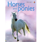 Horses And Ponies Usborne Beginners by Usborne