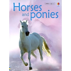 Horses And Ponies Usborne Beginners by Usborne