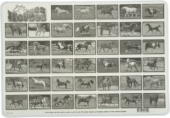 Horses Placemat by Painless Learning 1