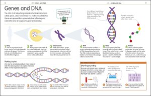 How to Be Good at Science Technology and Engineering by Dorling Kindersley 2