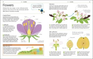 How to Be Good at Science Technology and Engineering by Dorling Kindersley 3