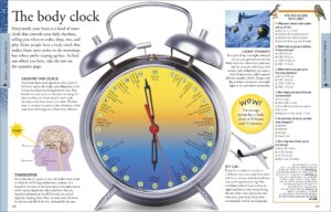 Human Body A Visual Encyclopedia by Dorling Kindersley 4