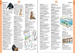 Illustrated Dictionary by Usborne 1