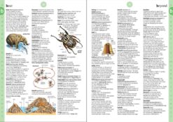 Illustrated Dictionary by Usborne 2
