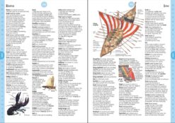 Illustrated Dictionary by Usborne 3