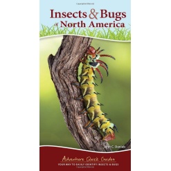 Insects Bugs of North America Your Way to Easily Identify Insects Bugs by Adventure Publications
