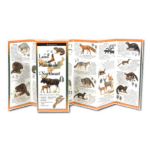 Land Mammals of the Northeast by Earth Sky Water 1
