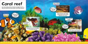 Life Size Ocean Animals by House of Marbles 1