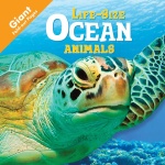 Life Size Ocean Animals by House of Marbles