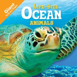 Life Size Ocean Animals by House of Marbles