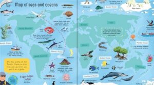 My Very First Seas and Oceans Book by Usborne 4