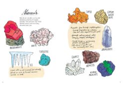 Nature Anatomy The Curious Parts and Pieces of the Natural World by Workman 1