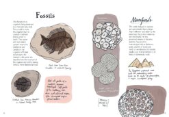 Nature Anatomy The Curious Parts and Pieces of the Natural World by Workman 2