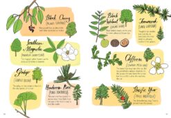 Nature Anatomy The Curious Parts and Pieces of the Natural World by Workman 4