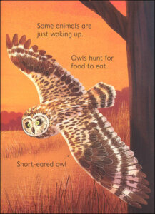 Night Day Animals Usborne Beginners by Usborne 5