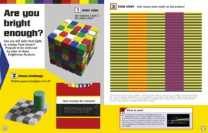 Optical Illusions by Dorling Kindersley 1