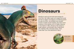 Pocket Genius Dinosaurs by Dorling Kindersley 2