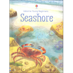 Seashore Usborne Beginners by Usborne
