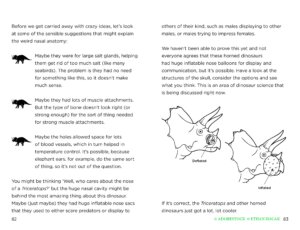 So You Think You Know About… Triceratops by Kane Miller 4