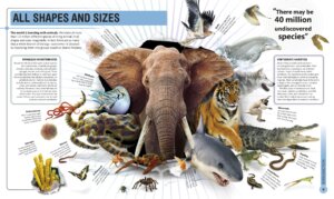 Super Nature Encyclopedia by Dorling Kindersley 1
