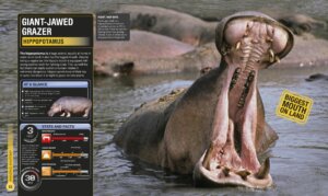 Super Nature Encyclopedia by Dorling Kindersley 3