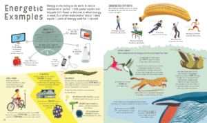 The Book of Comparisons by Usborne 1