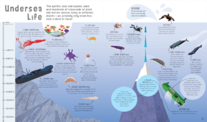 The Book of Comparisons by Usborne 2