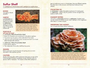 The Scouts Guide to Wild Edibles Learn How To Forage Prepare Eat 40 Wild Foods by St. Lynns Press 4