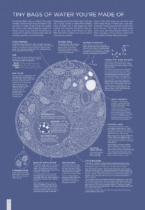 Thing Explainer Complicated Stuff in Simple Words by Houghton Mifflin 2