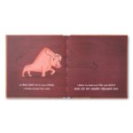 Tiger Days A Book of Feelings by Compendium 4