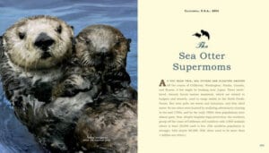 Unlikely Heroes 37 Inspiring Stories of Courage and Heart from the Animal Kingdom by Workman 2