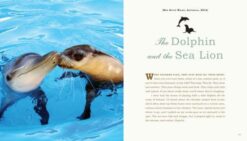 Unlikely Loves 43 Heartwarming True Stories from the Animal Kingdom by Workman 3