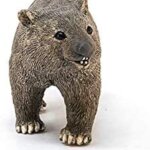 Wombat Figure by Schleich 4