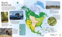Childrens Illustrated Animal Atlas by Dorling Kindersley 1