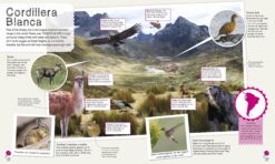 Childrens Illustrated Animal Atlas by Dorling Kindersley 2