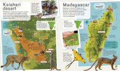 Childrens Illustrated Animal Atlas by Dorling Kindersley 3