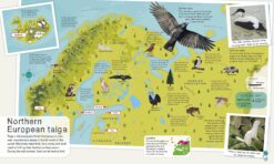Childrens Illustrated Animal Atlas by Dorling Kindersley 4