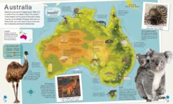 Childrens Illustrated Animal Atlas by Dorling Kindersley 5